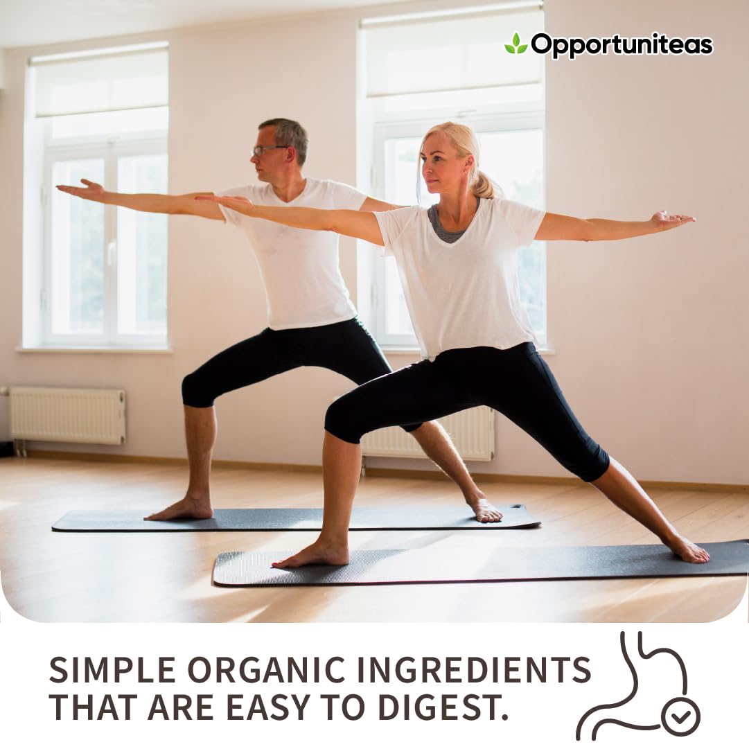 Opportuniteas Organic Plant Based Chocolate Protein Powder - 1 lb - image 5