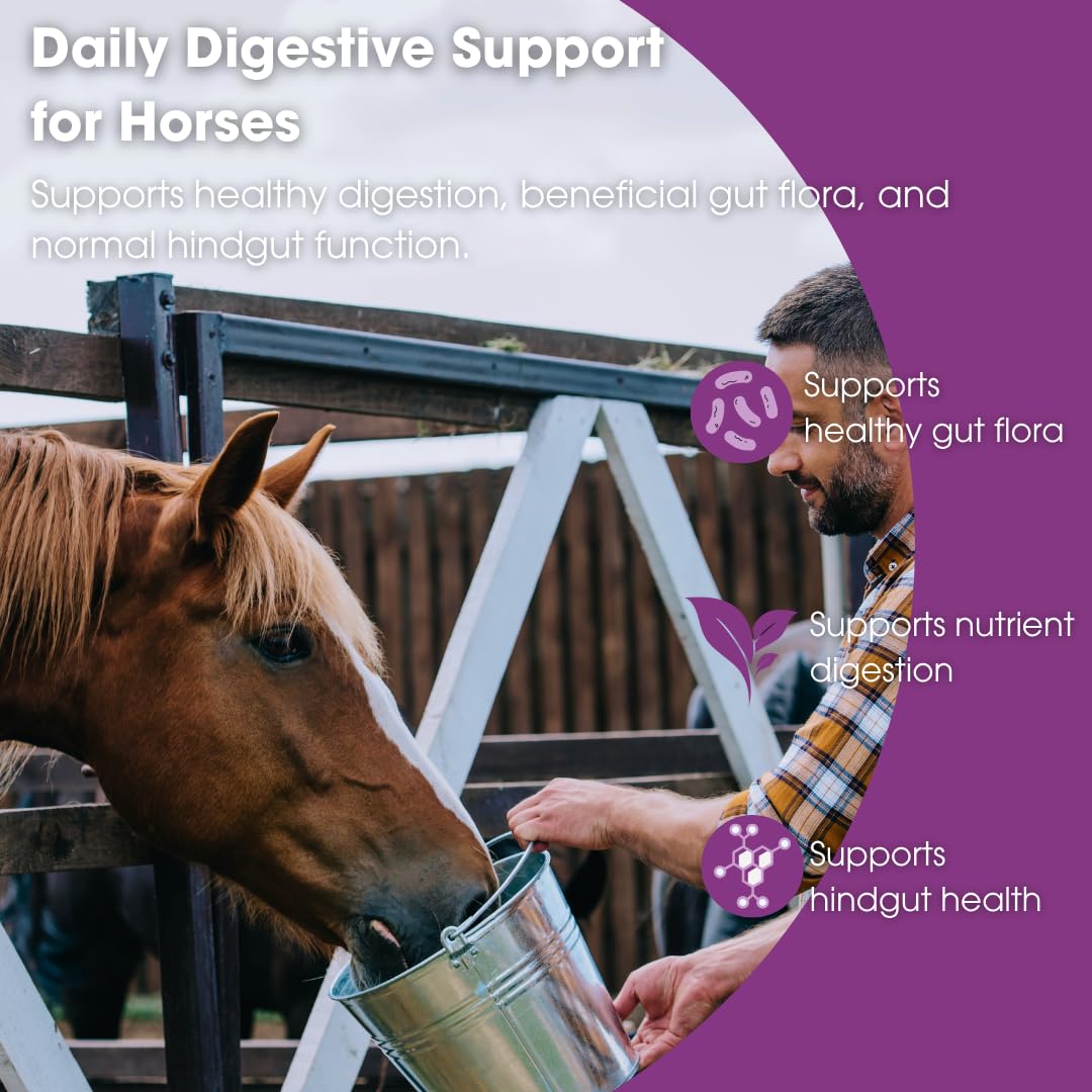 Equilite PrePro Equine Prebiotic, Probiotic & Enzyme Blend - 2 lb - image 2