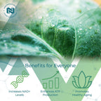 Nootropics Depot NADH + Chlorella Capsules