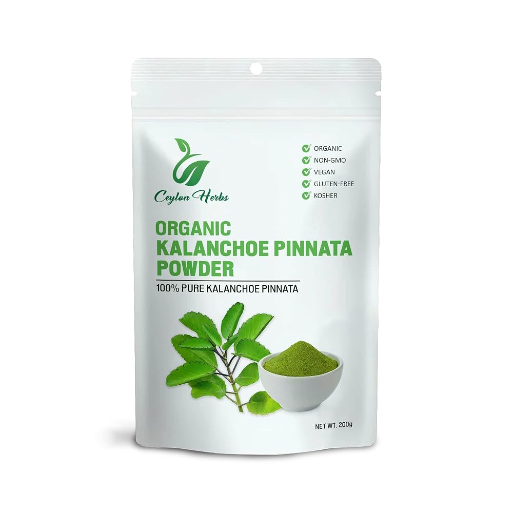 Generic Kalanchoe Pinnata Leaves Powder - 100g - image 3