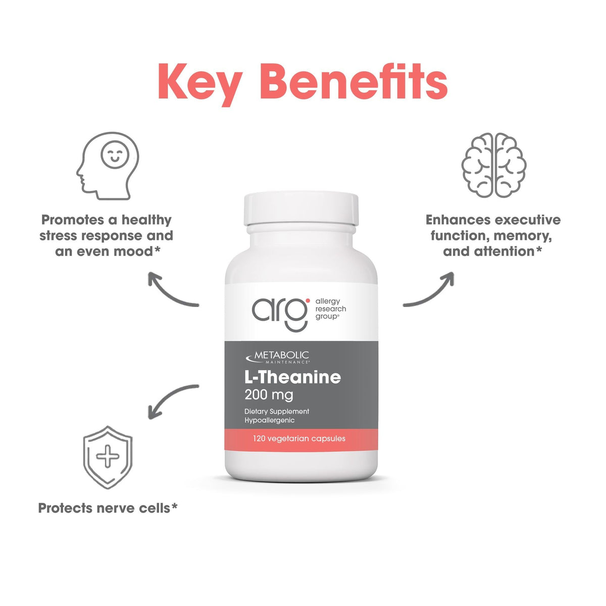 Metabolic Maintenance L-Theanine Suntheanine 200 mg - 120 Capsules - image 5