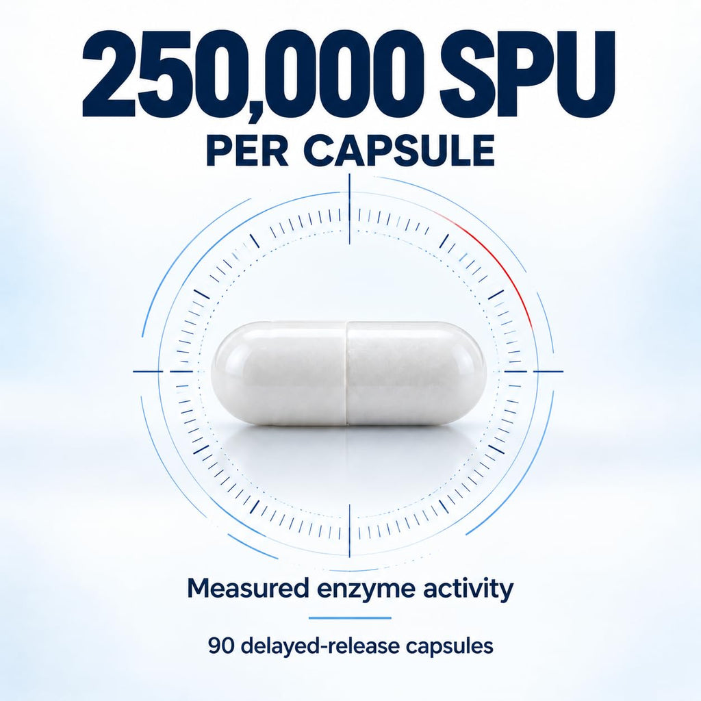Lyndon Fields Serra-250k Serrapeptase 250,000 SPU - 90 Capsules - image 2