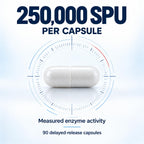 Lyndon Fields Serra-250k Serrapeptase 250,000 SPU - 90 Capsules - image 2