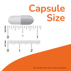 NOW Magnesium Citrate Enzyme Function - 240 Capsules - image 5