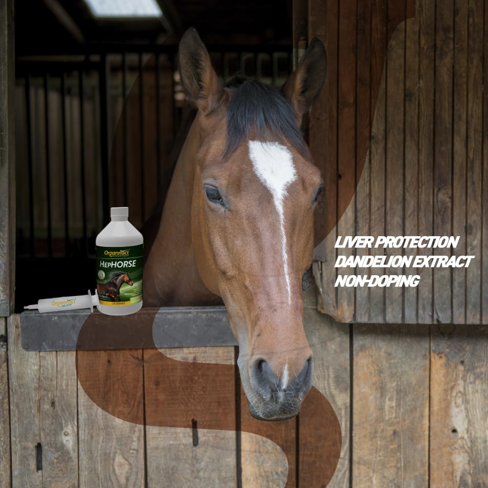 Organnact Hephorse Equine Liver Health Supplement - 16.9 Fl Oz - image 5