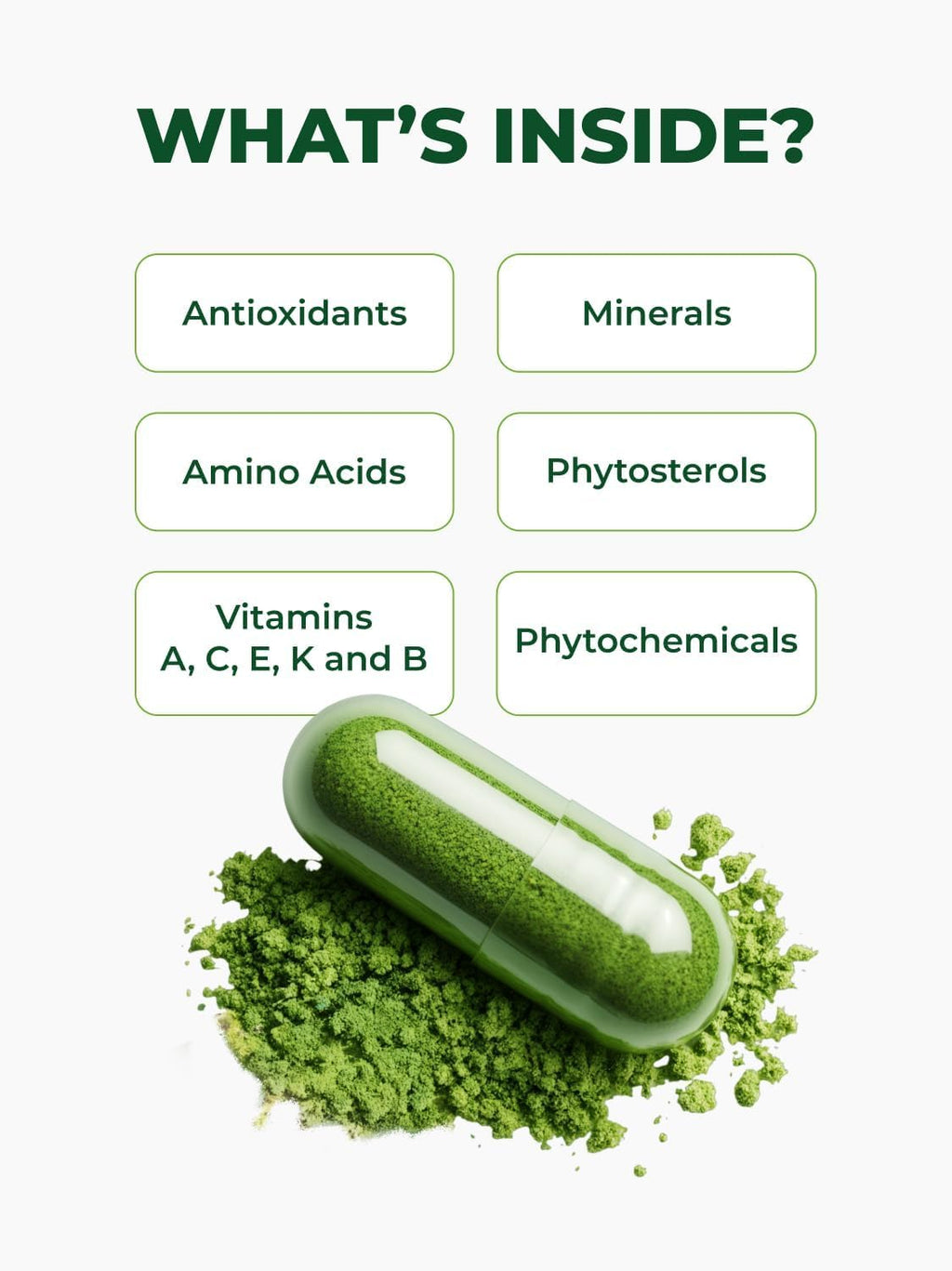 Pura Vida Moringa Organic Moringa Capsules Energy Support - 240 Count - image 7