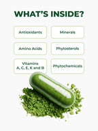 Pura Vida Moringa Organic Moringa Capsules Energy Support - 240 Count - image 7