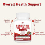 Spliferkou Berberine Phytosome with Ceylon Cinnamon - 60 Capsules - image 6