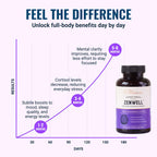 Live Conscious KSM-66 Ashwagandha with L-Theanine - 60 Capsules - image 4