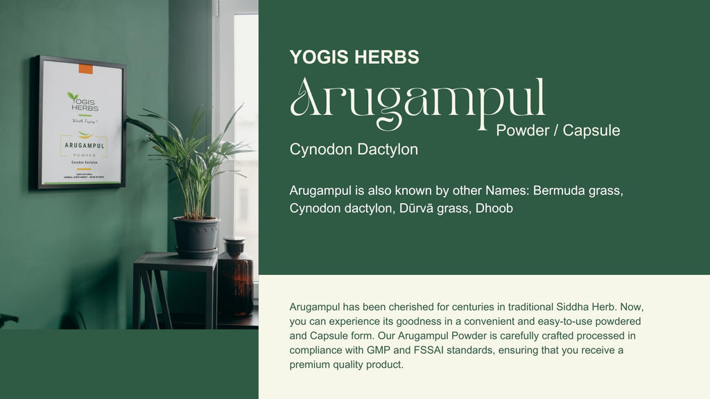 YOGIS HERBS Arugampul Powder Bermuda Grass - 16 Ounce - image 8