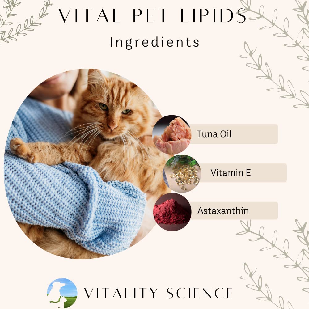 Vitality Science Advanced Immune Restoration Supplements for Cats - Large - image 4