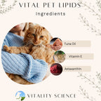 Vitality Science Advanced Immune Restoration Supplements for Cats - Large - image 4