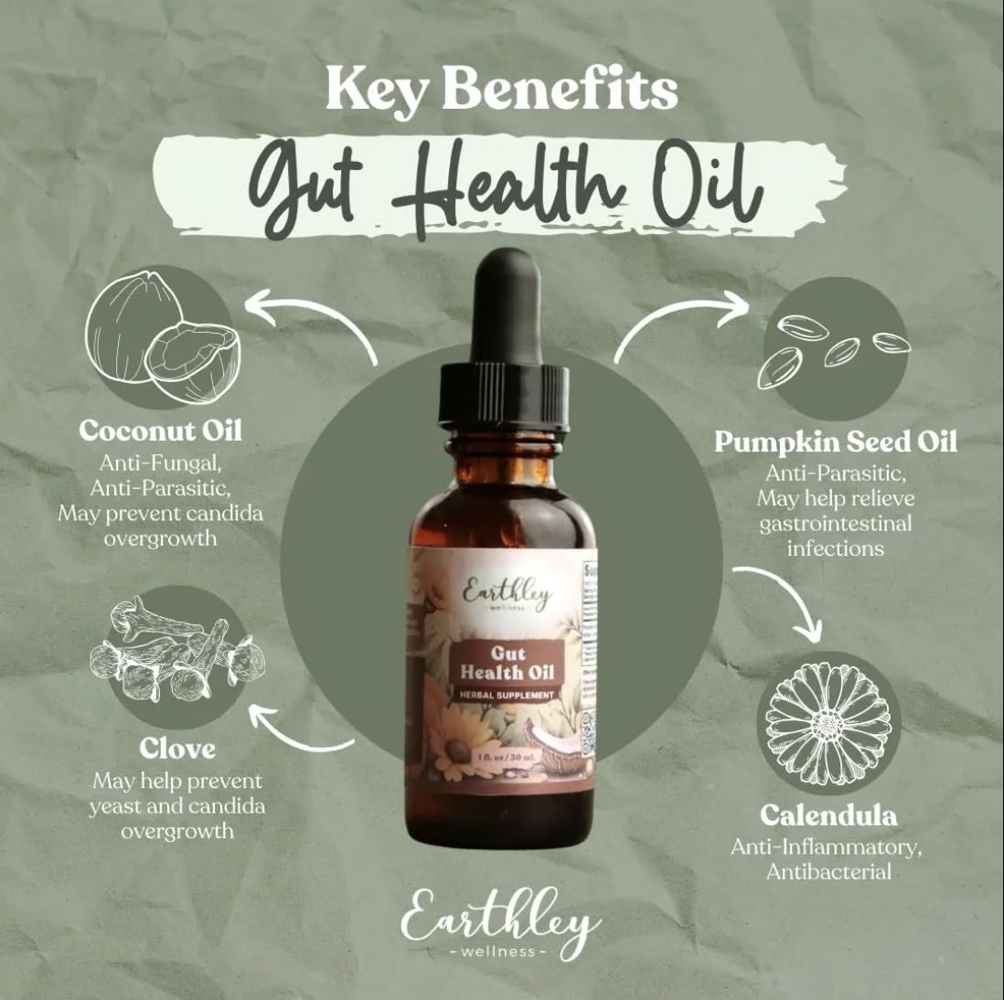 Earthley Wellness Gut Health Oil Herbal Blend - 2 Fl Oz - image 4