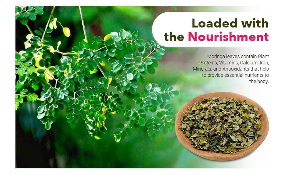 Green Nectar Moringa Tea Cut Leaves - 8 Ounces - image 4