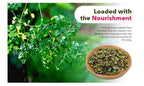 Green Nectar Moringa Tea Cut Leaves - 8 Ounces - image 4