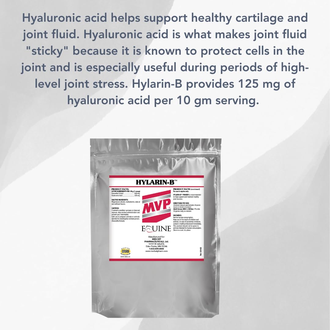 MVP Hylarin-B Powder for Joint Integrity Support in Horses - 100 Servings - image 2