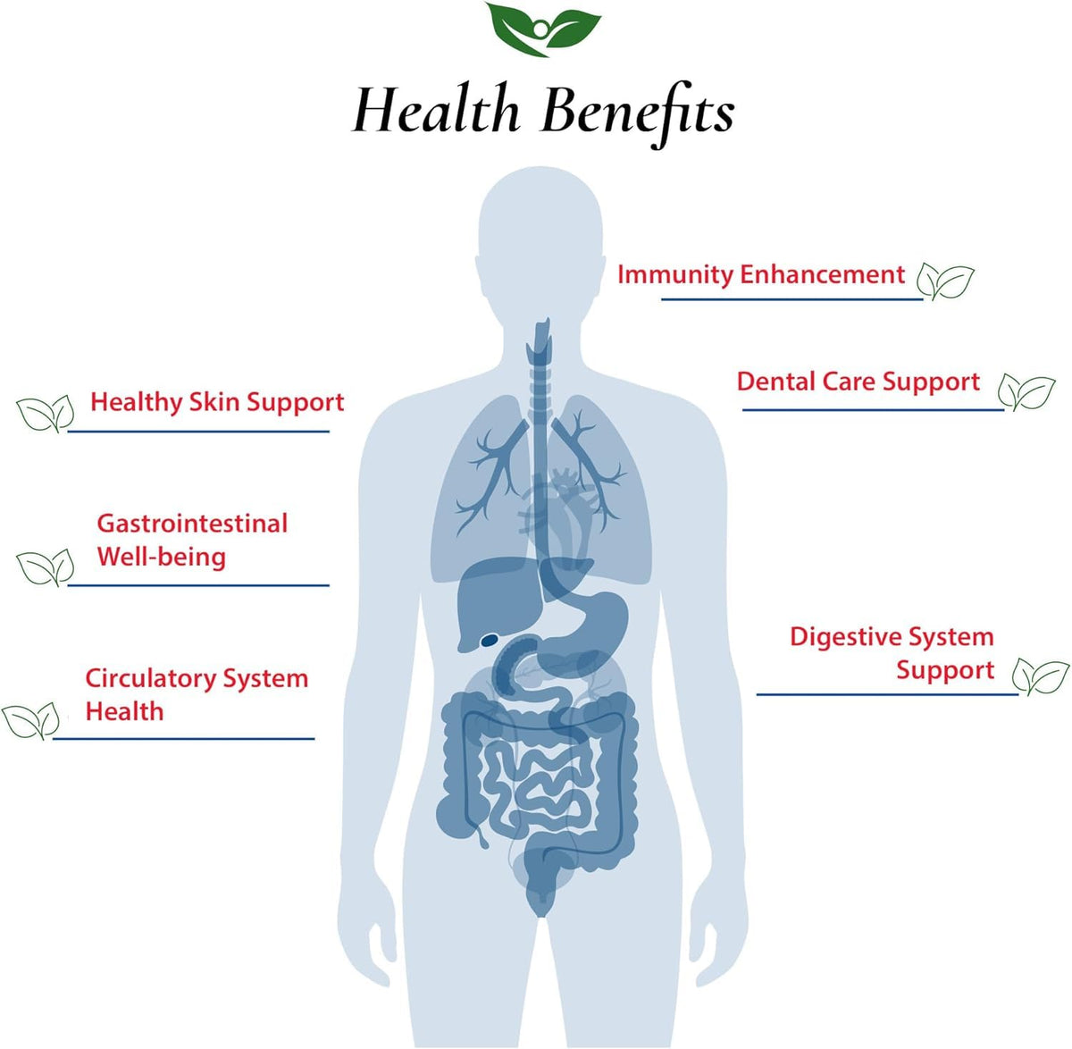 Foods For Gut Lactobacillus Reuteri Probiotic Powder - 30g - image 4