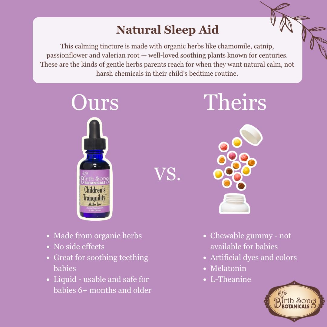 Birth Song Botanicals Children's Tranquility Tincture - 1 Fl Oz - image 5