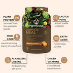 PlantFusion Complete Meal Replacement Shake - Plant Based Protein