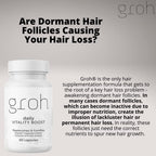 GROH Daily Vitality Boost Hair Growth Supplement - 60 Capsules - image 6