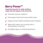 PURE SYNERGY Berry Power Organic Berry & Fruit Powder - 5.3 oz - image 4