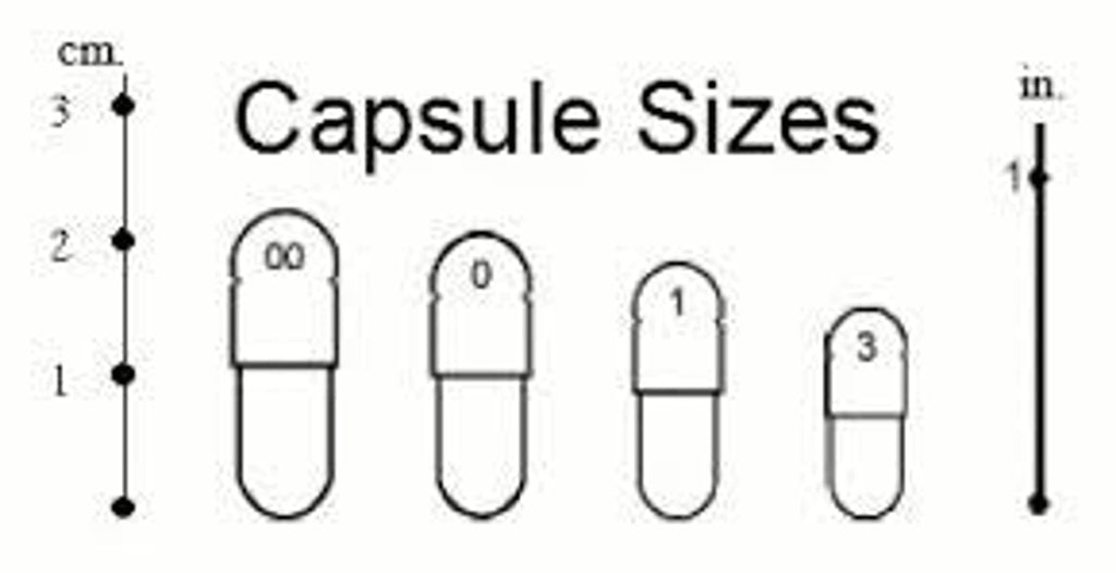 Hepa Protect Max Capsules for Liver and Kidney Health Support - image 3