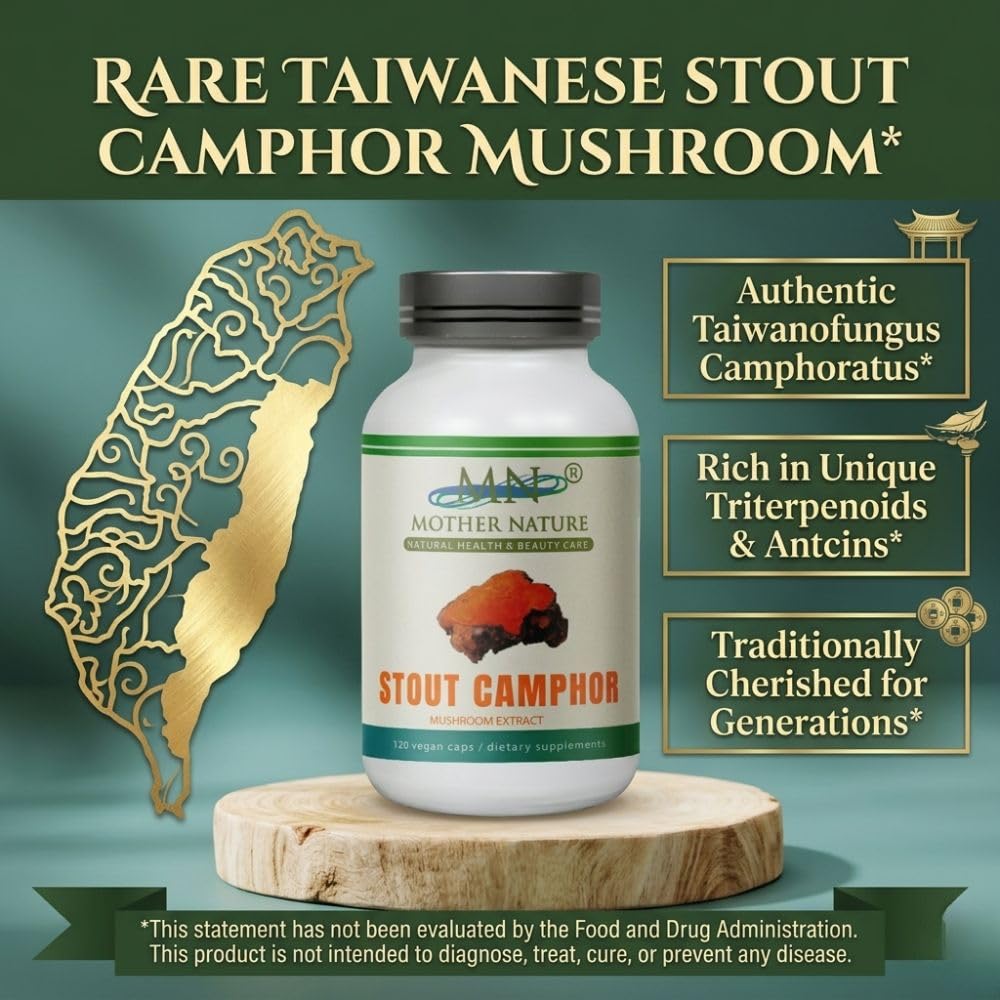 MN Mother Nature Stout Camphor Mushroom 1000mg - 120 Capsules - image 2