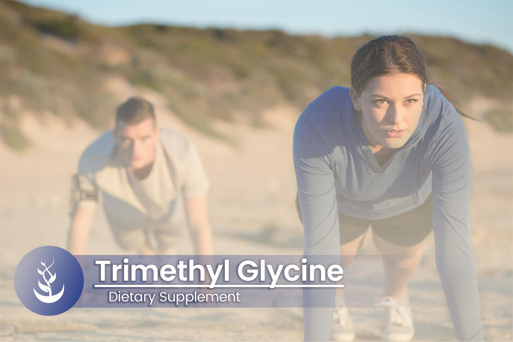 PURE ORIGINAL INGREDIENTS TMG Trimethylglycine - 100 Capsules - image 5