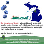 Fruit Advantage Wild Blueberry Dietary Supplement: 60 Vegetarian