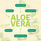 Aloe Life Aloe Gold Tablets Digestive Support - 90 Tablets - image 6