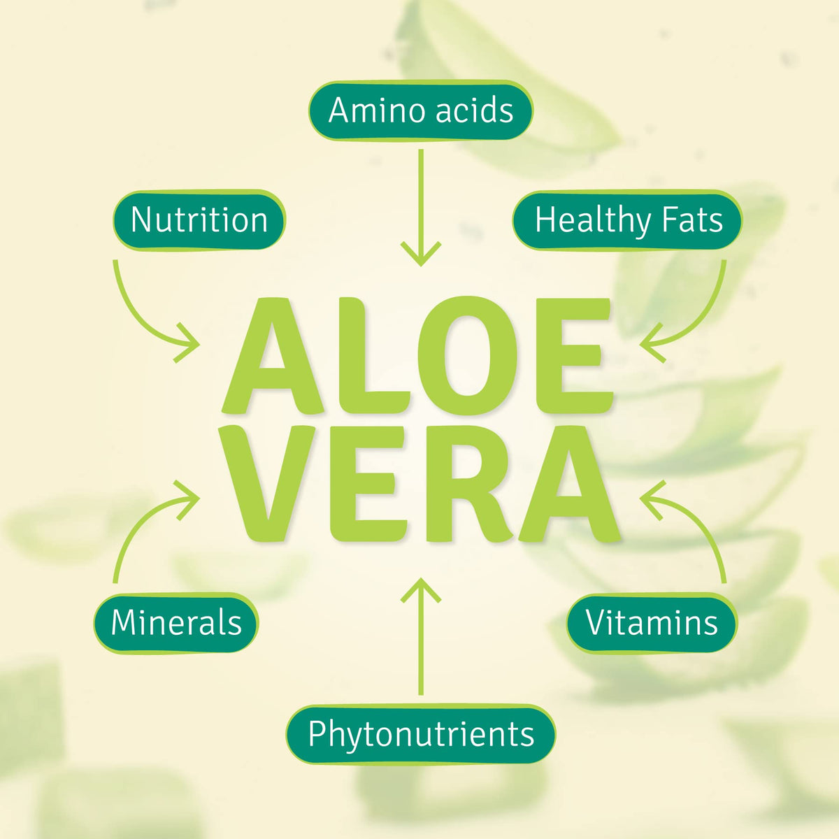 Aloe Life Aloe Gold Tablets Digestive Support - 90 Tablets - image 6