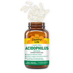 Country Life Acidophilus Probiotic Supplement - 2.4 Billion CFUs - image 2