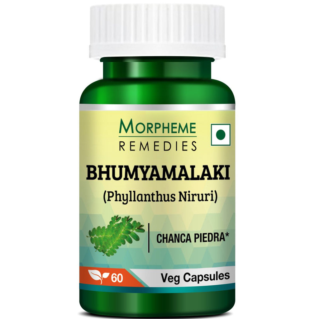 Morpheme Phyllanthus Niruri 500mg Extract - 360 Vegetarian Capsules - image 2