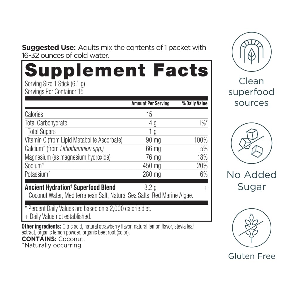 Ancient Nutrition Rapid Hydration Powder