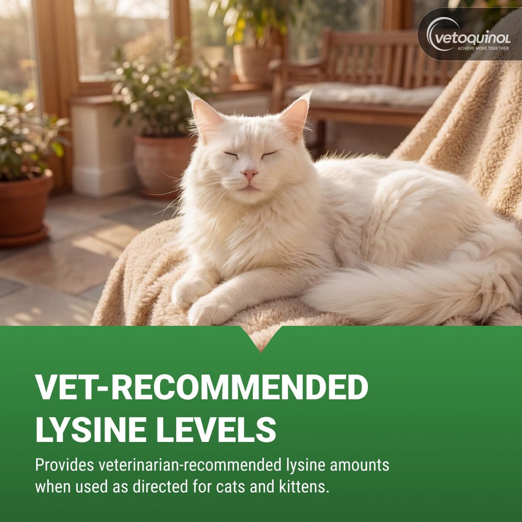 Vetoquinol Viralys Lysine Powder for Cats - 100 g - image 4