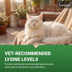 Vetoquinol Viralys Lysine Powder for Cats - 100 g - image 4