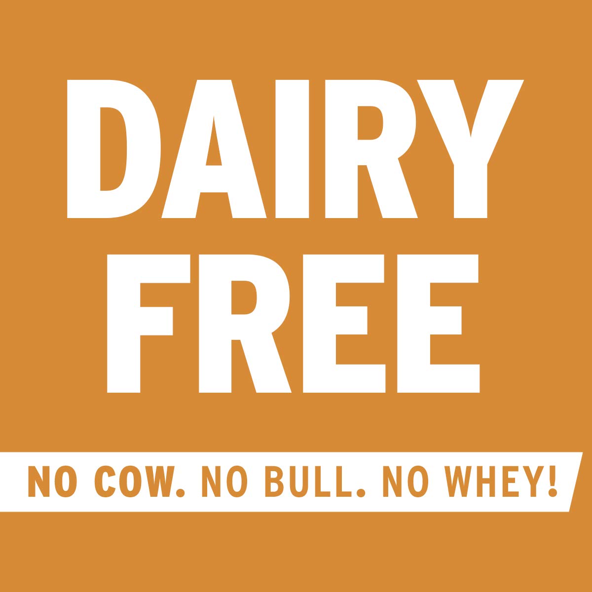 No Cow Peanut Butter Chocolate Chip Protein Bar - 4 Count - image 4