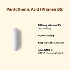 Micro Ingredients Pantothenic Acid 500mg Vitamin B5 - 365 Capsules - image 3