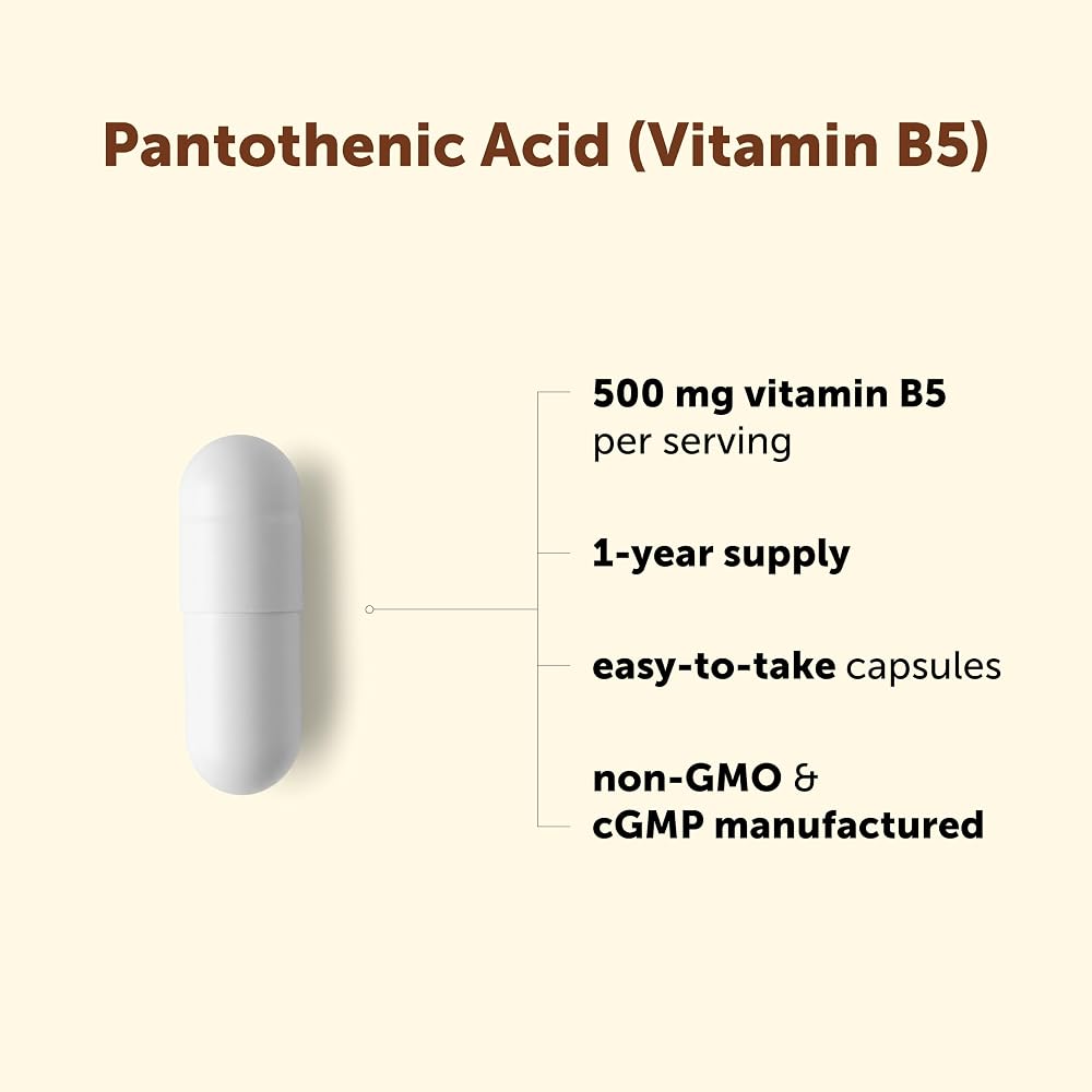 Micro Ingredients Pantothenic Acid 500mg Vitamin B5 - 365 Capsules - image 3