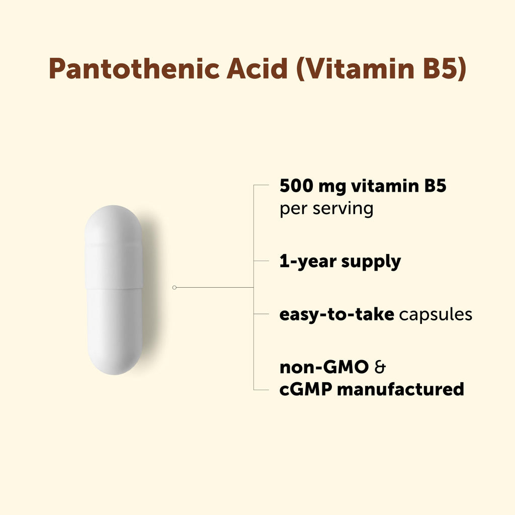 Micro Ingredients Pantothenic Acid 500mg Vitamin B5 - 365 Capsules - image 3