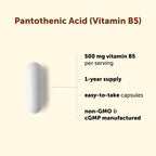Micro Ingredients Pantothenic Acid 500mg Vitamin B5 - 365 Capsules - image 3