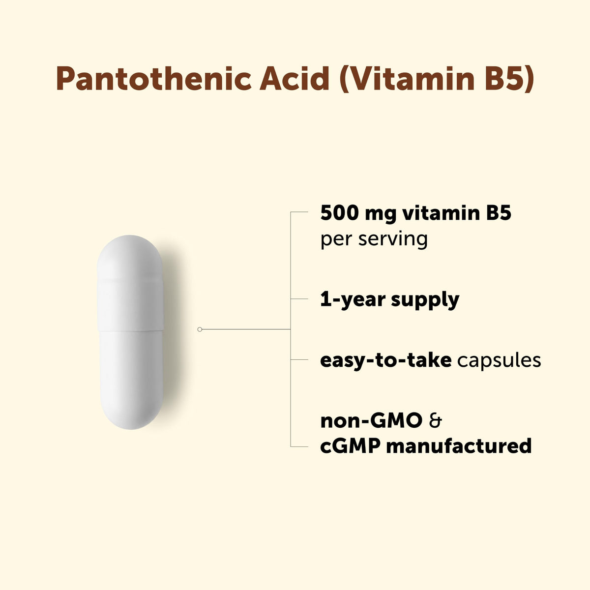 Micro Ingredients Pantothenic Acid 500mg Vitamin B5 - 365 Capsules - image 3