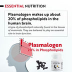 REMORY Plasmalogen Sea Squirt Brain Health Supplement - 30 Capsules - image 9