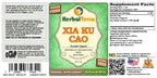 Herbal Terra LLC Xia Ku Cao, Prunella (Prunella Vulgaris) Tincture