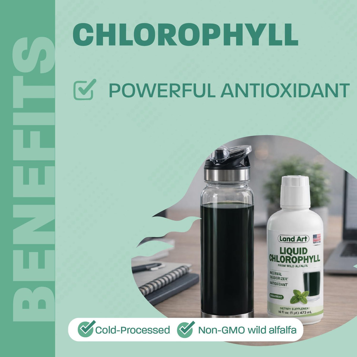 Land Art Chlorophyll Liquid Cold-Extracted Wild Alfalfa - 16 fl oz - image 4