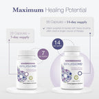 BruiseMD Bromelain 500 mg with Zinc & Vitamin C - 28 Capsules - image 3