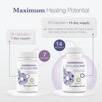 BruiseMD Bromelain 500 mg with Zinc & Vitamin C - 28 Capsules - image 3