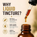 FUNGISIP Momentum Cordyceps & Lion's Mane Mushroom Tincture - 2 oz - image 5