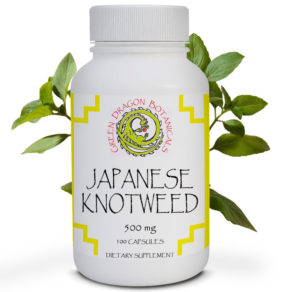 Green Dragon Botanicals Japanese Knotweed 500 mg - 100 Capsules