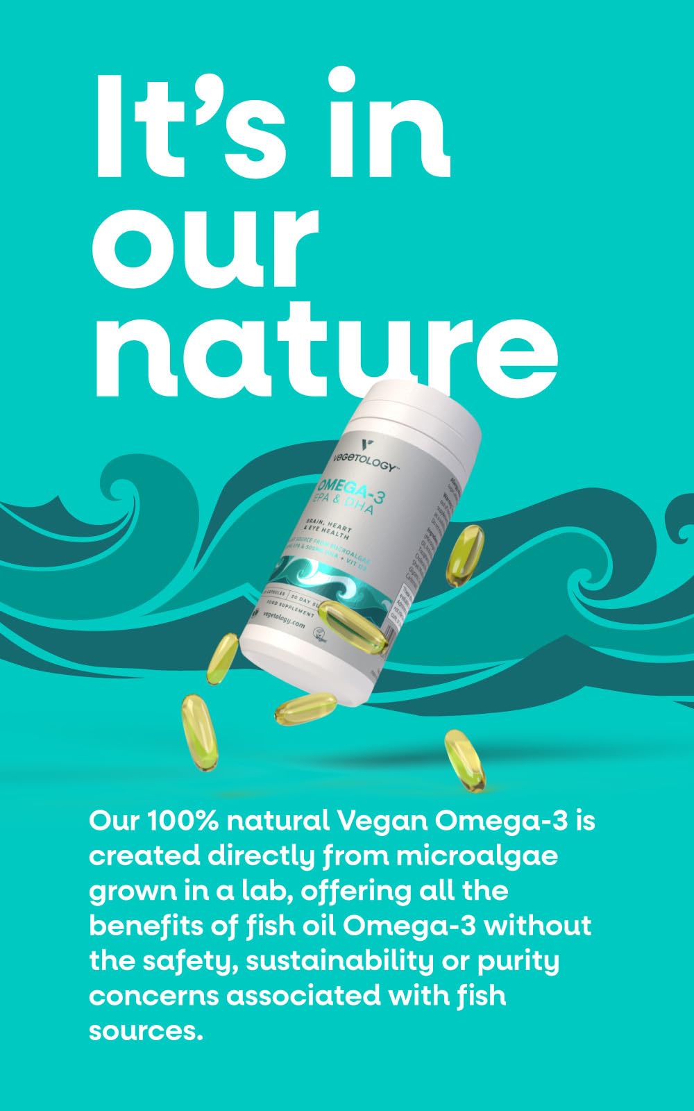 VEGETOLOGY Vegan Omega 3 Supplement - 60 Capsules - image 2